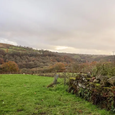 Foxglove בית נופש וויטבי