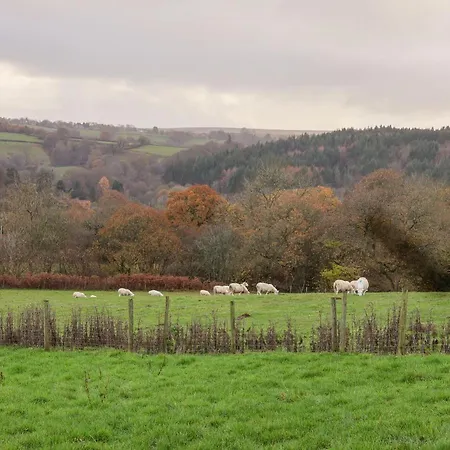 Foxglove Tatil Evi Whitby