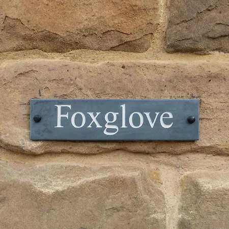 Foxglove * Whitby