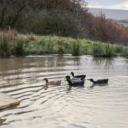 Foxglove * וויטבי