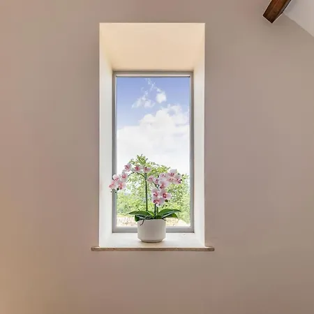 Foxglove Holiday home