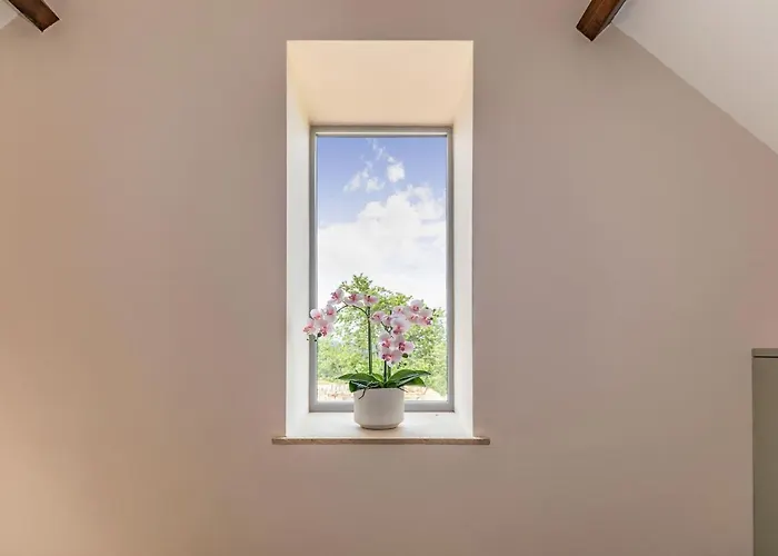 Foxglove Hébergement de vacances