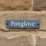 Foxglove * Whitby