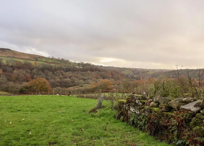 Foxglove 度假居 惠特比