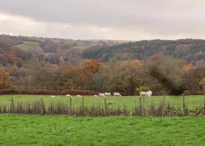 Foxglove Vakantiehuis Whitby
